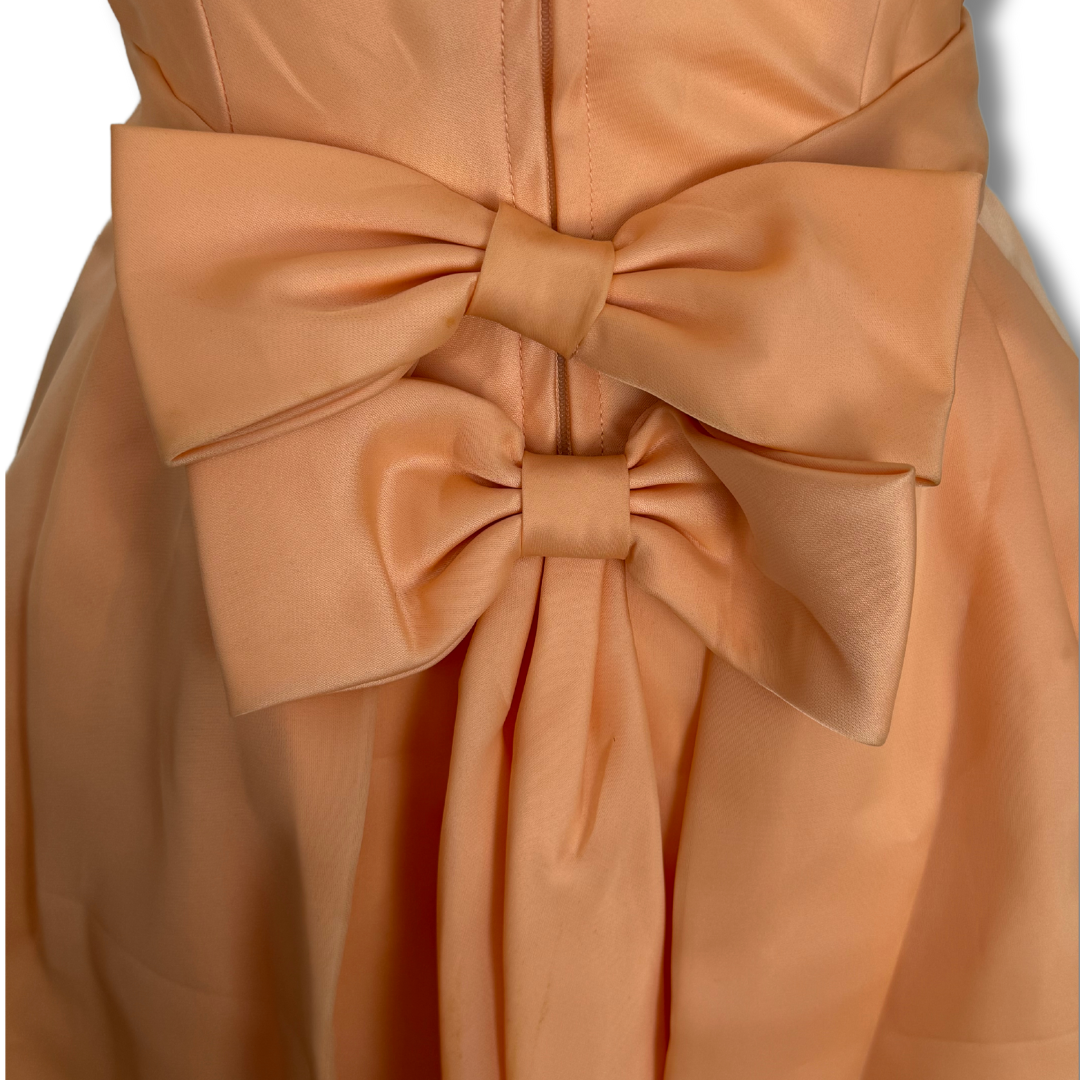 Lori Deb Sanfrancisco 50's Peach Day Dress